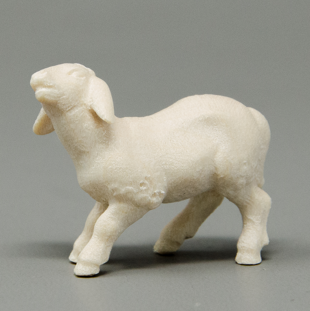 Lamm stehend