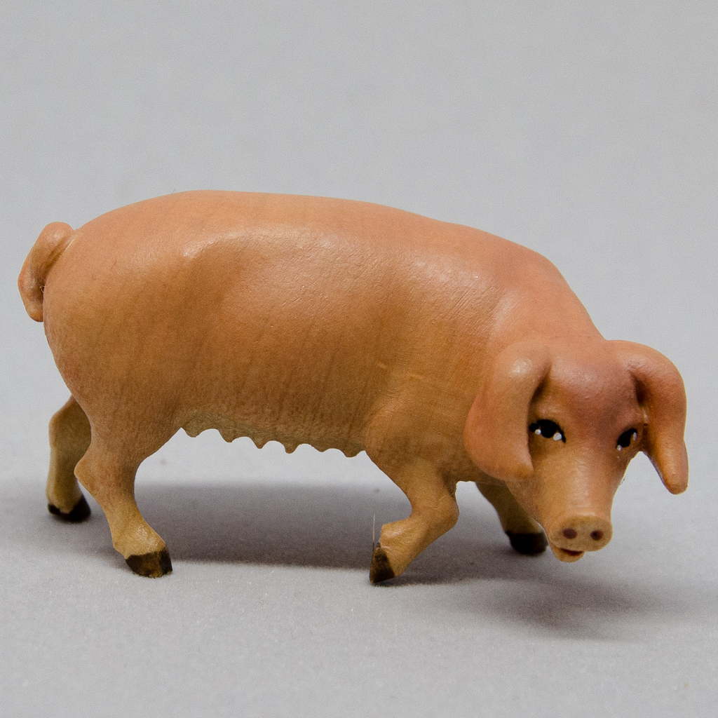 Schwein