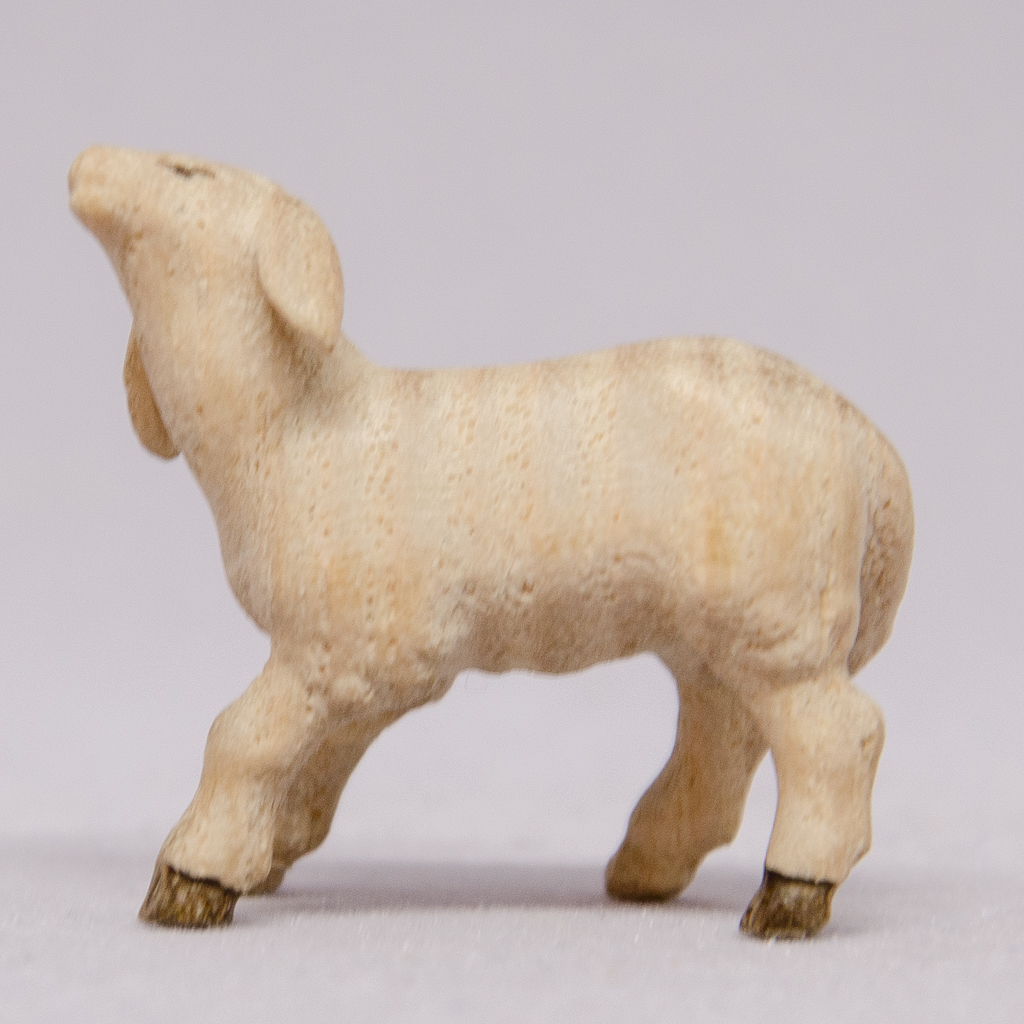 Lamm