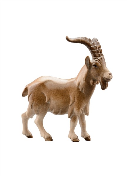 Ziegenbock