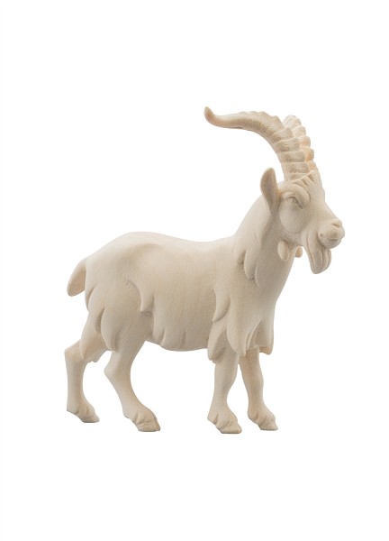 Ziegenbock