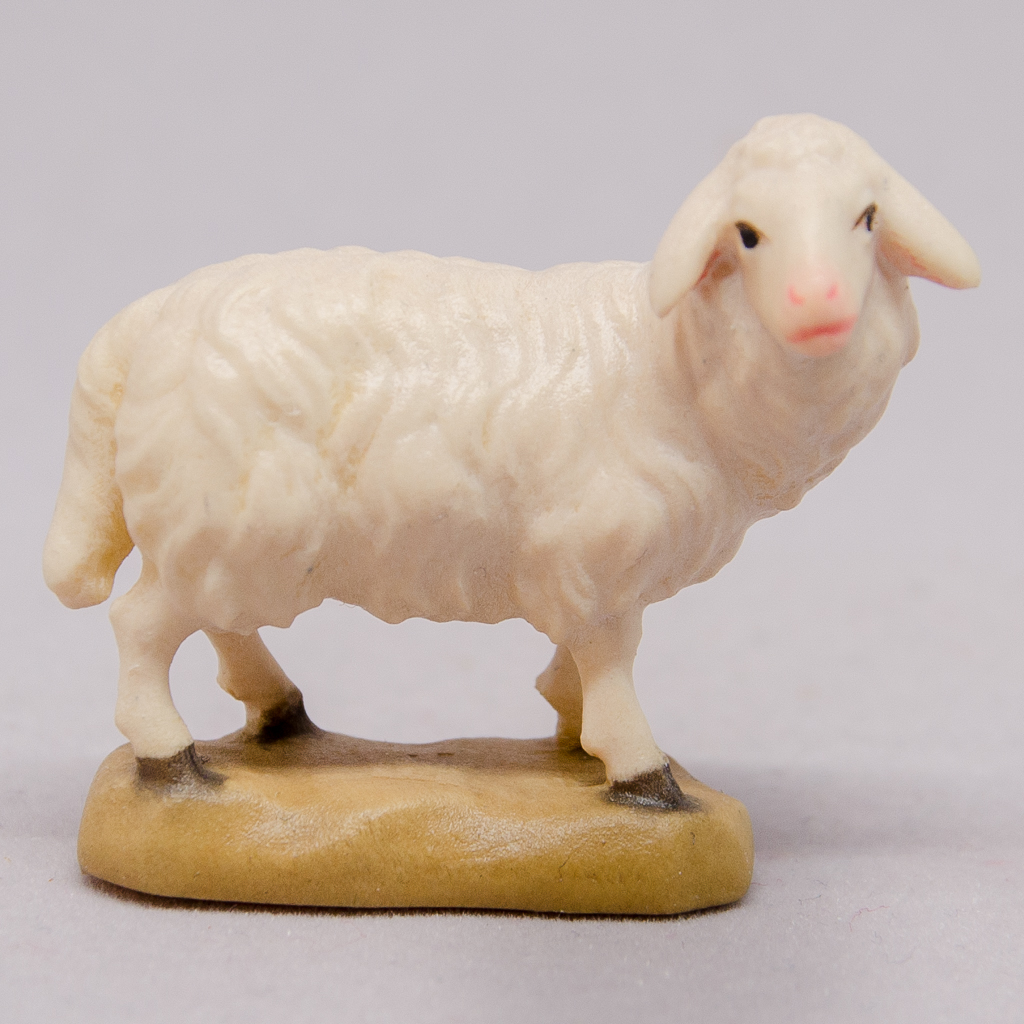 Schaf stehend