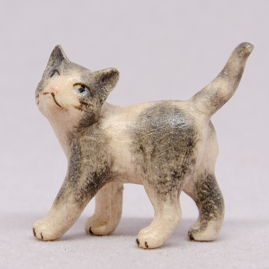 Katze links schauend