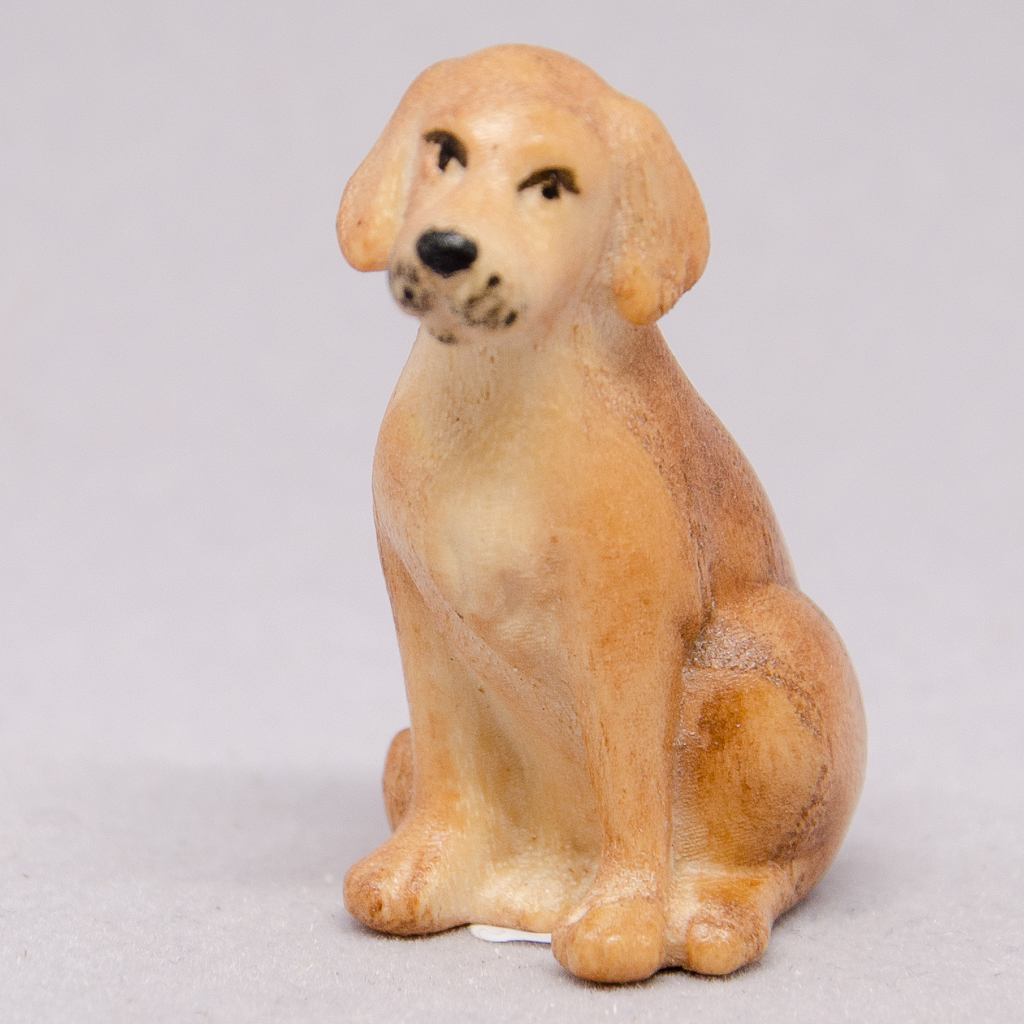 Hund