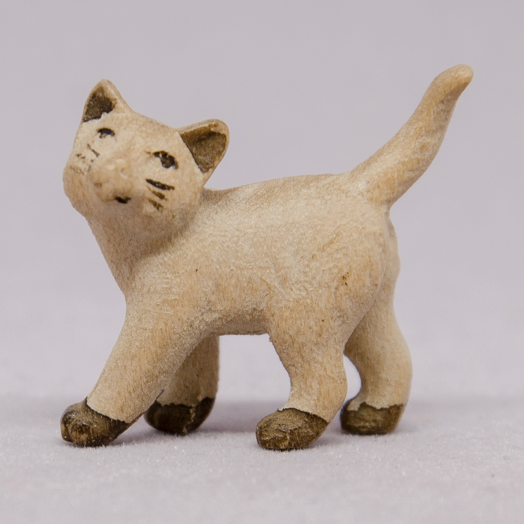 Katze links schauend